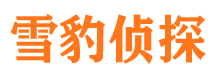 抚松市侦探公司